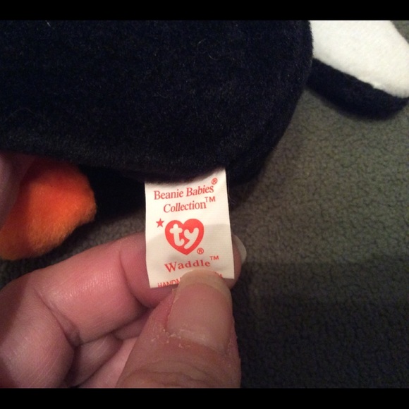 Info Needed *Waddle* - Picture 2 of 3